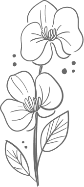 Divisor floral botânico final